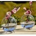 2pcs Hydroponic Vase Landscape Bottle Terrarium Container Flower Plant Pot   391970829166